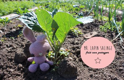 Les aventures de Mr. Lapin Salinge