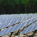 Vive la forêt conteste la ferme photovoltaïque