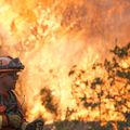 Feu de forêt dans le Lot