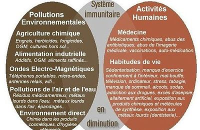 Les Maladies Dégénératives : origines et solutions ?