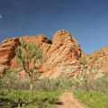 Bungle Bungle National Park (Partie Nord)- Homestead Valley