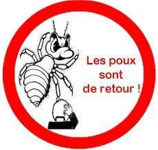 Halte aux poux!
