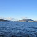 De retour au fjord - Hjemme ved fjorden igjen