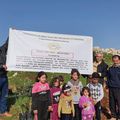 La campagne de plantation d'olivier bat son plein en Palestine