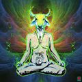 Auraient-ils forcé sur le psilocybe ?