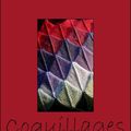 Couverture Coquillages : Associer les 1ers triangles entre eux