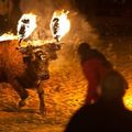 #Evento : #torodelavega #torodefuego #galgos Espagne Spain España - Actions mails