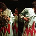 the Polyphonic Spree - la Route du Rock