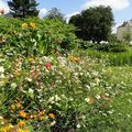 Jardin des Prébendes à Tours