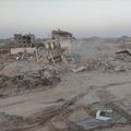 !!Génocide à Gaza: J 610!! Ne détournez plus le regard: le régime terroriste israélien est le pire qui soit et ne reflète en rien nos 'valeurs'!