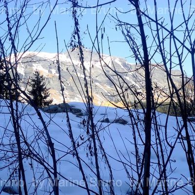 1- Paysage par M.B -Les Contamines Montjoie-