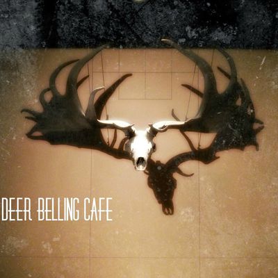 Deer Belling Café - Deer Belling Café
