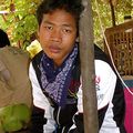 Cambodge :  Sina retourne aux sources