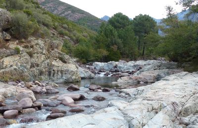 La Corse - La Rivière 3