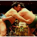 La force tranquille du sumo