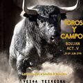 TOROS Y CAMPO 2019 - DES TOROS PORTUGAIS À BOUJAN