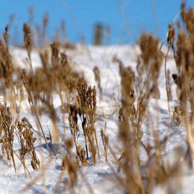 Snowmen fall from heaven... unassembled. Anonymous