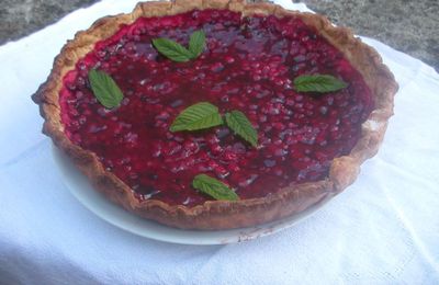 tarte aux groseilles sur lit de gelée