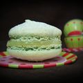 Macarons Chocolat Blanc et Thé Vert Matcha