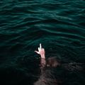 “Plus une eau est pure, moins elle a de poissons.” Proverbe chinois
