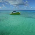 l'ile aux récifs, notre grand classique