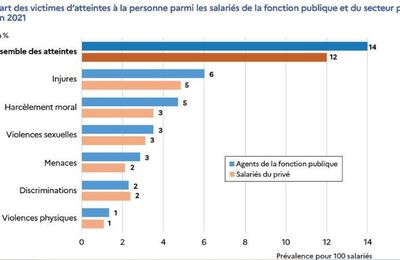Analyse des Atteintes à la Personne dans le Secteur Public et Privé