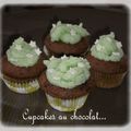 Cupcakes au chocolat 