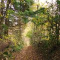 randonnée du mardi 23 novembre après-midi - ST CLEMENT