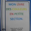 861-Livre des couleurs avec les petits.