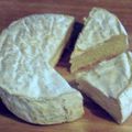 Les fromages normand