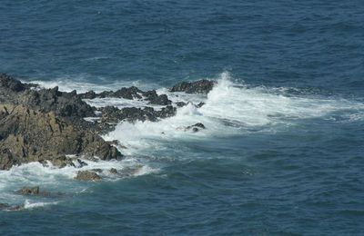 Pointe de Minard - Côtes d'Armor 