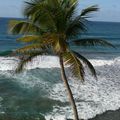 Martinique 2010 - Paysages (2)