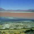 La lagune rouge... Bolivie