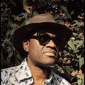  Alain Mabanckou (1966 -) : Les arbres aussi versent des larmes. II