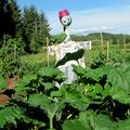 "Clôture ouverte" au jardin partagé de Perse ce dimanche 30 aôut 2015