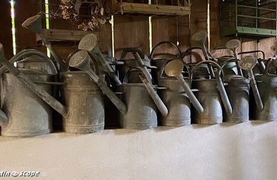 Collection d'arrosoirs...