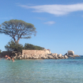 Destination Corse (3) La plage de Tamaricciu 