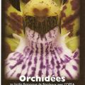 Orchidées