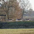 Entrainement au bord du canal 