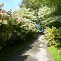 LE CHÂTELLIER (35) - Parc botanique de Haute-Bretagne