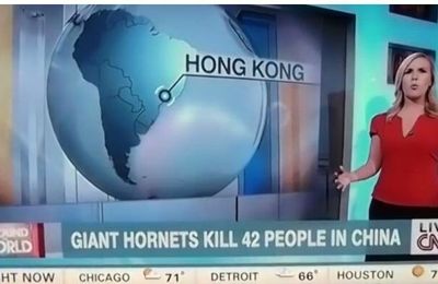 Un site web antiperles