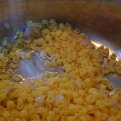 "Pasoto" au poulet et gorgonzola