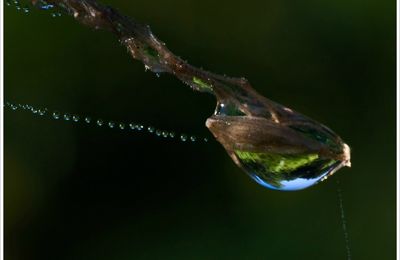 Etrangeté liquide ...