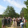 Retour sur la randonnée botanique du 26 mai 2019 - 1e partie flore de plaine à Cuisiat autour de la Grange du Pin