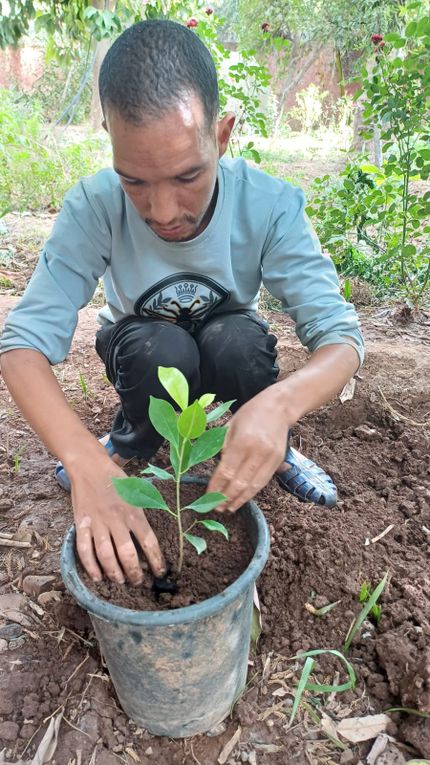 Faire une plantation