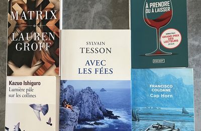 Livres 2024 (6)