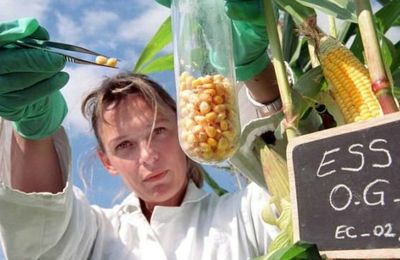 Une étude russe qui prouve que les OGM stériliseront l'humanité au bout de 3 Générations