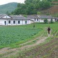 Coree du Nord - Kaesong - Ferme collective
