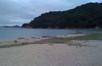 Miyajima à vélo