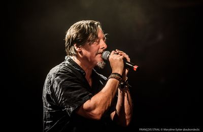 François Staal chante les nuits et l'alcool avec Minuit